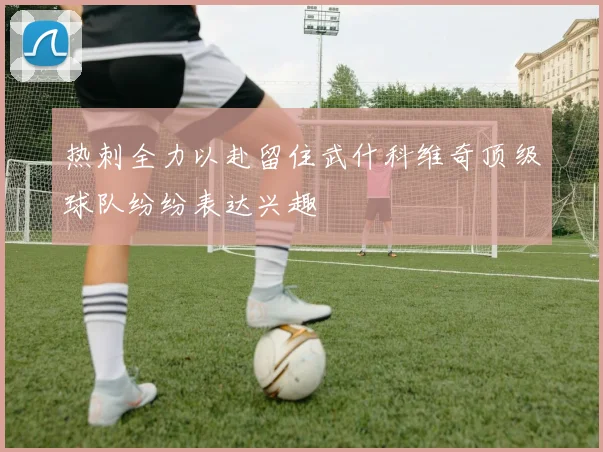 热刺全力以赴留住武什科维奇顶级球队纷纷表达兴趣