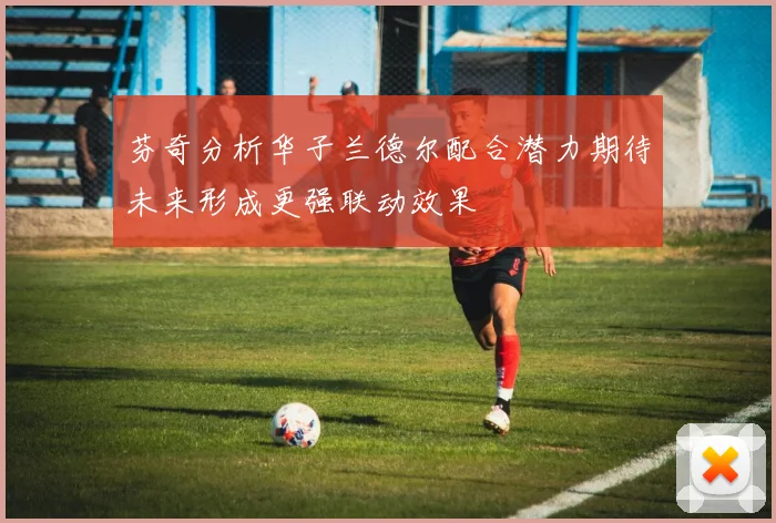 芬奇分析华子兰德尔配合潜力期待未来形成更强联动效果